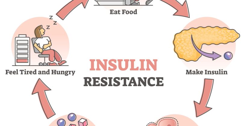 Berat badan cepat naik dan susah turun, kulit wajah rentan berjerawat, serta mudah lelah, bisa jadi insulin resisten pada tubuhmu sedang terganggu! Berat badan cepat naik dan susah turun, kulit wajah rentan berjerawat, serta mudah lelah, bisa jadi insulin resisten pada tubuhmu sedang terganggu!
